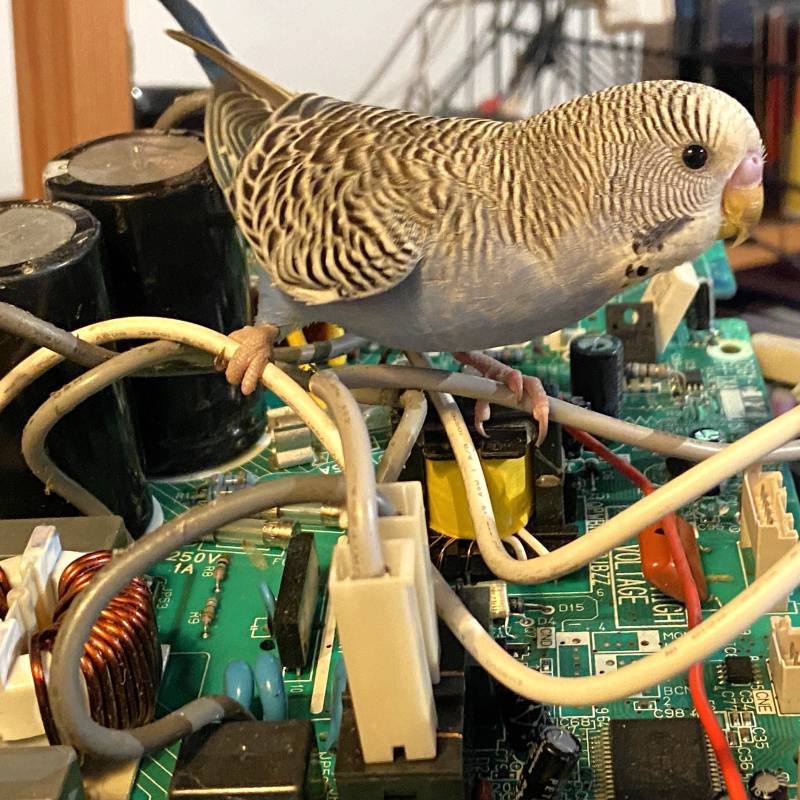 Byte av kondensatorer på kretskort - Inspektör på plats