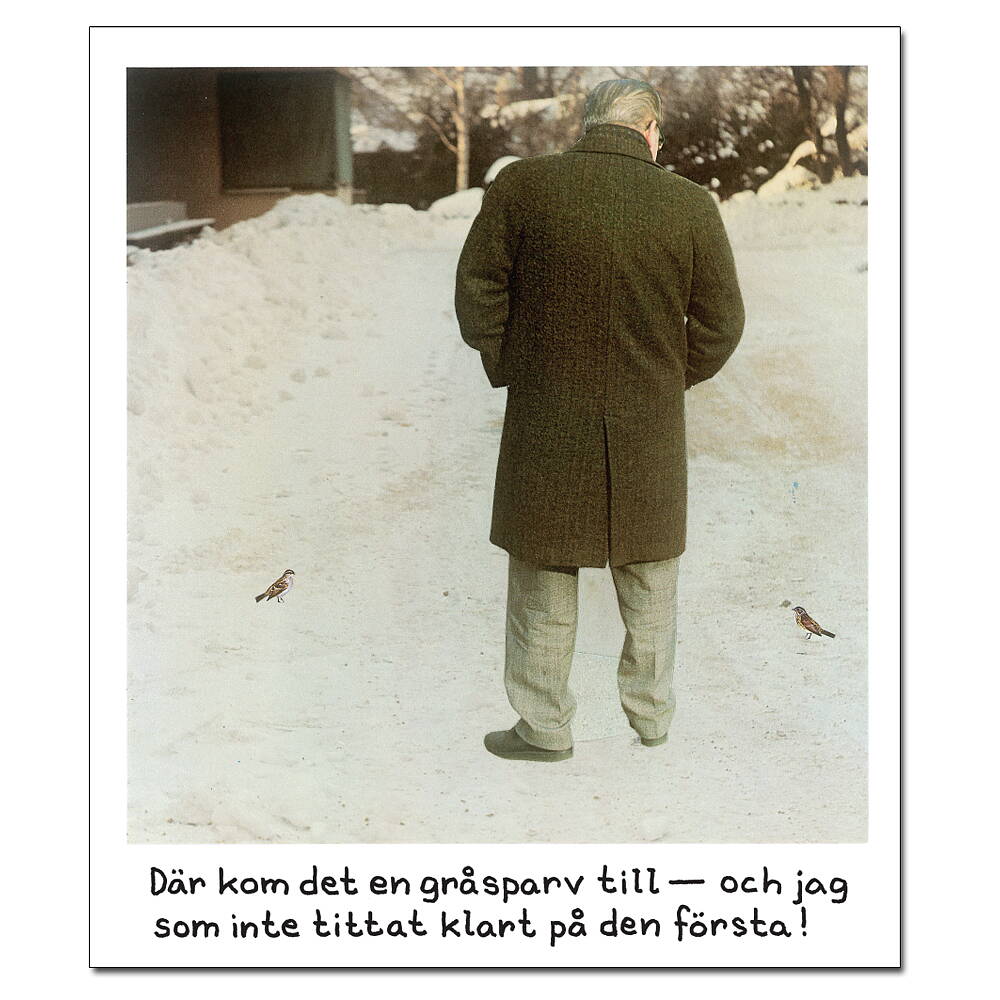 Magnet Jan Stenmark "Gråsparv"