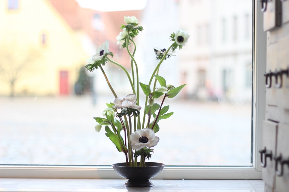 Blomsterfakir Kenzan - Original Hanataba, 34 mm