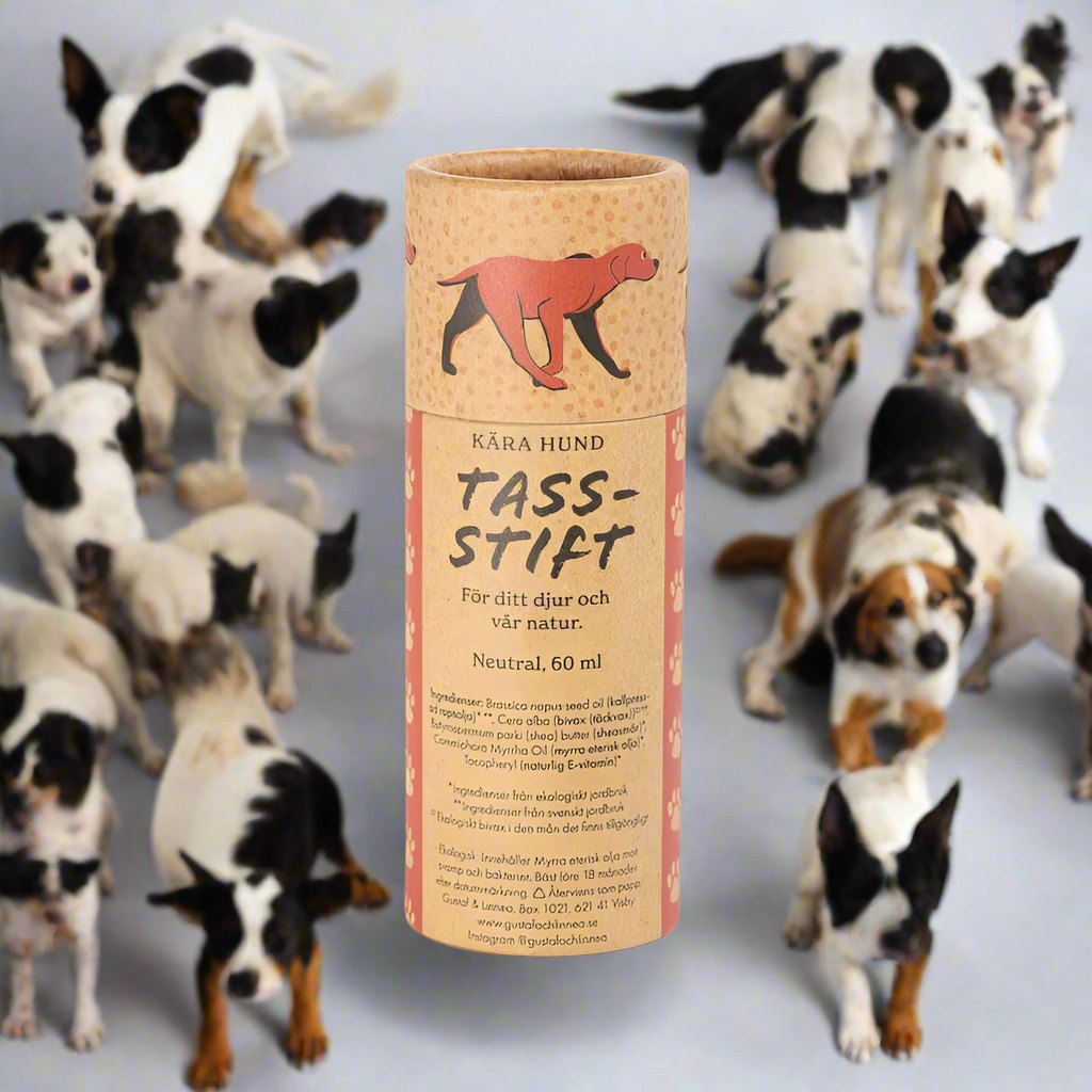 Ekologiskt Tasstift i papphylsa by G&L, 60g 100x36mm