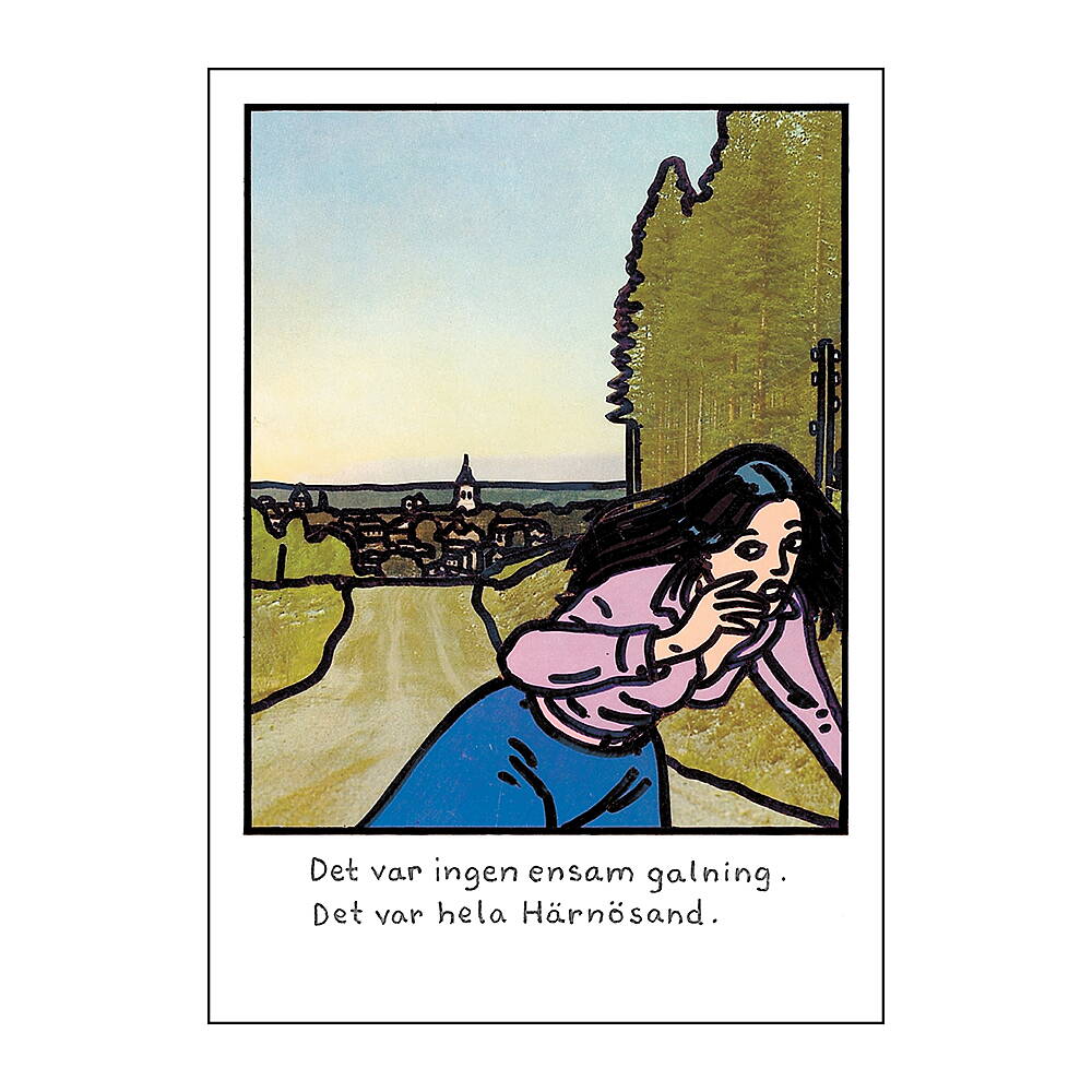 Vykort Jan Stenmark "Härnösand"