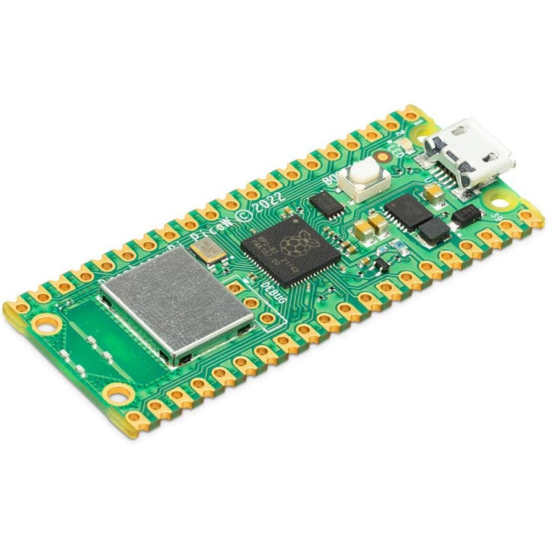 Raspberry Pi Pico W (Wifi)