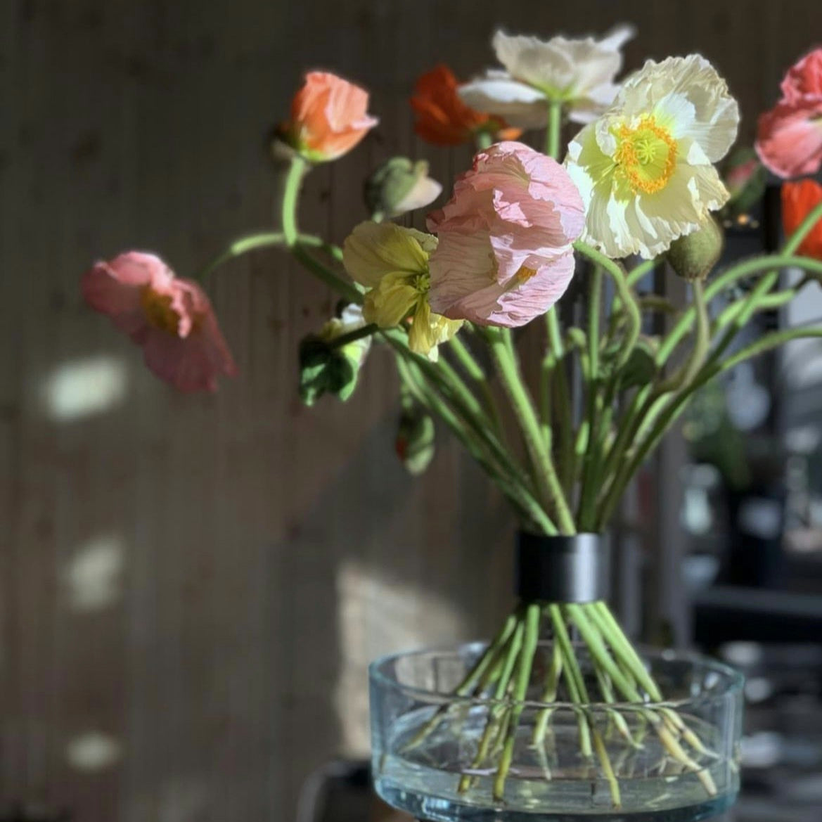 Original Hanataba Pitch Black - Buketthållare, 2-pack