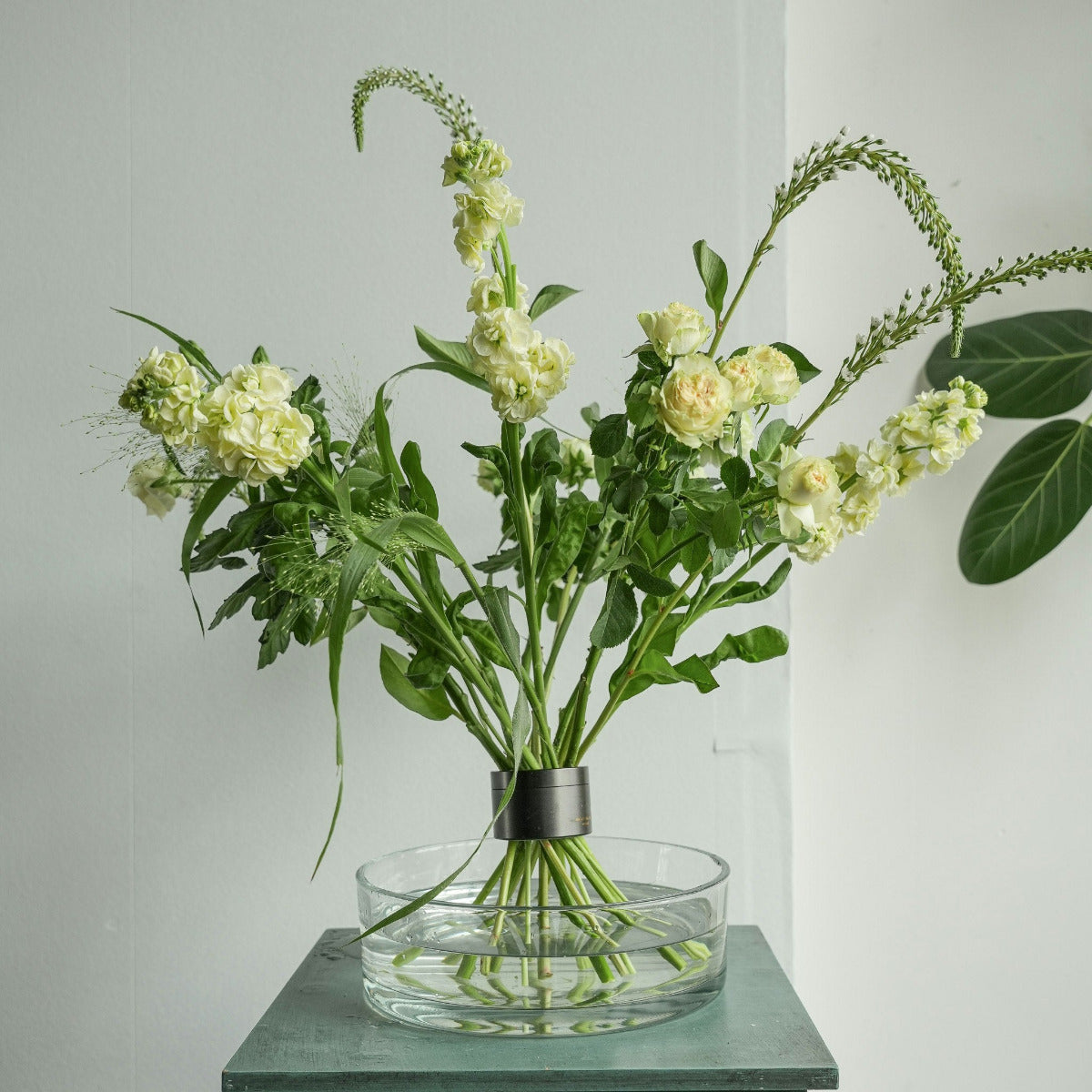 Original Hanataba Pitch Black - Buketthållare, 2-pack