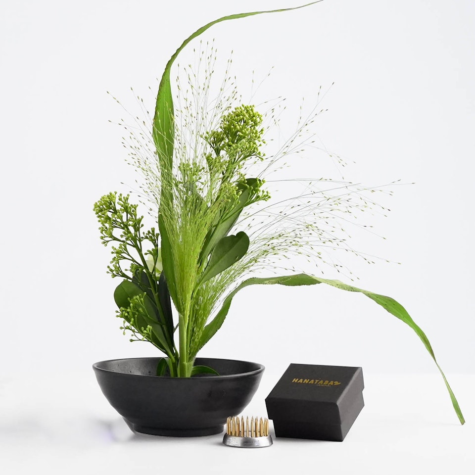 Blomsterfakir Kenzan - Original Hanataba, 34 mm