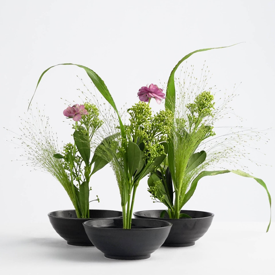 Blomsterfakir Kenzan - Original Hanataba, 34 mm