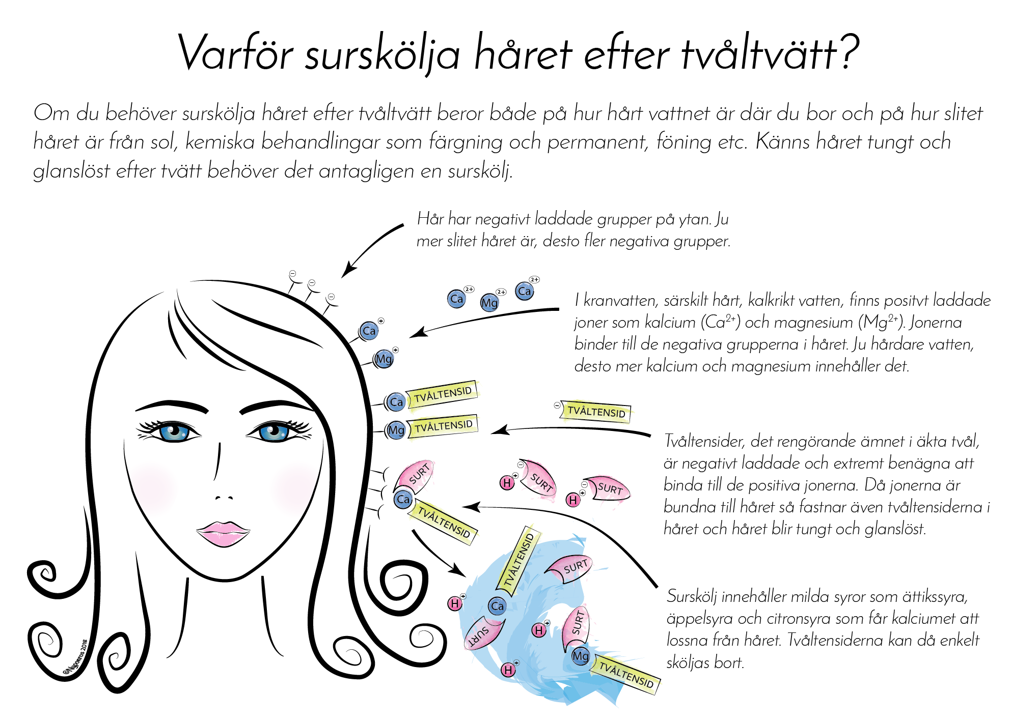 Surskölj: Ekologisk hibiskus, Malin i Ratan