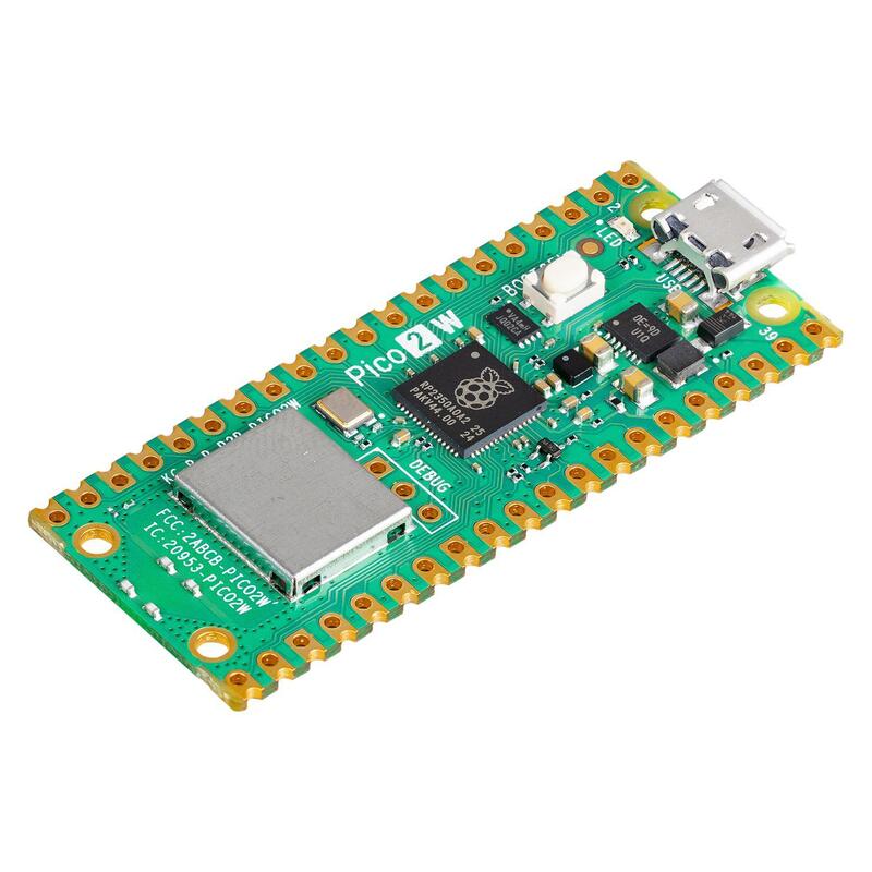 Raspberry Pi Pico 2W (Wifi)