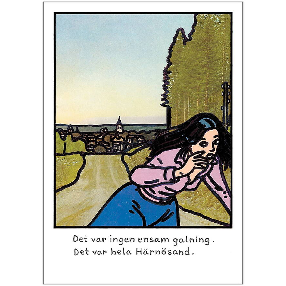 Vykort Jan Stenmark "Härnösand"