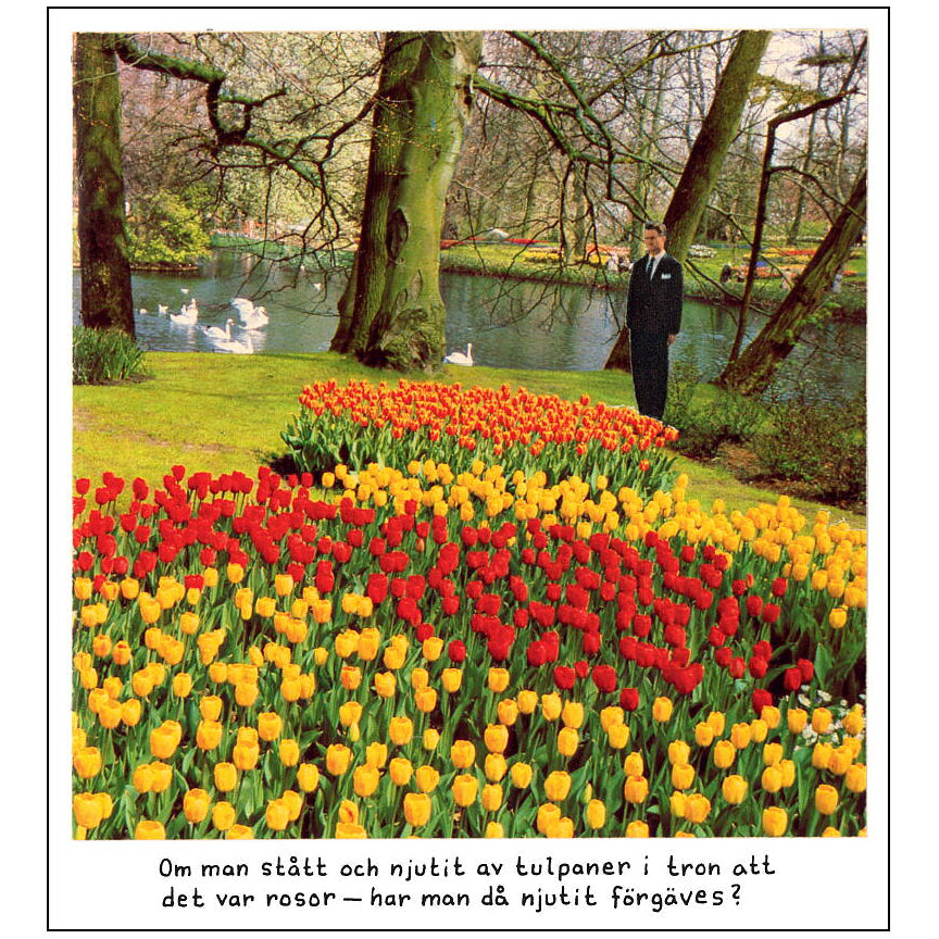 Magnet Jan Stenmark "Tulpaner"