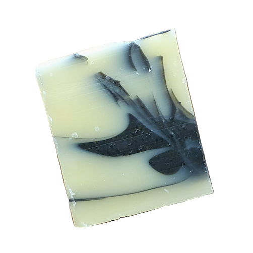 Päls-schampo Aktivt kol - Fast tvål, kaffe & lakrits - Katoppa.se Karlskoga